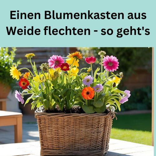 Einen Blumenkasten aus Weide flechten - so geht's